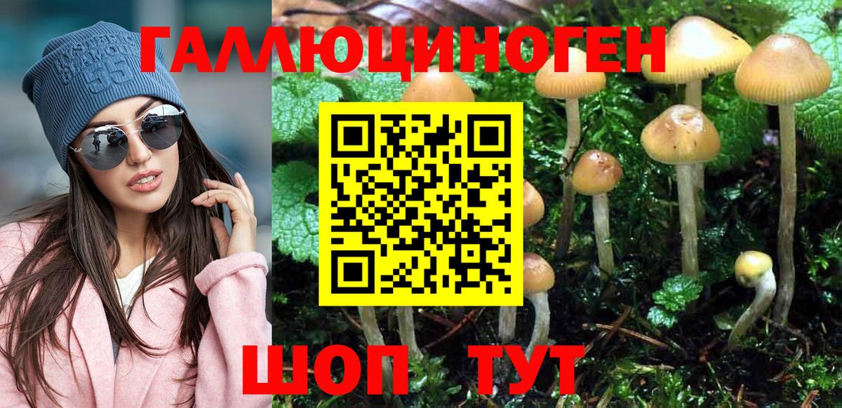 Галлюциногенные грибы Magic Shrooms  Вход с VPN  Коркино 